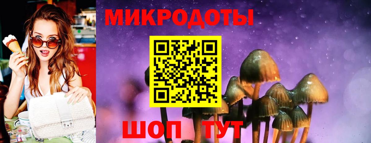 Муравленко  Галлюциногенные грибы Psilocybe  где купить наркоту  Вход с VPN  Псилоцибиновые грибы Magic Shrooms 
